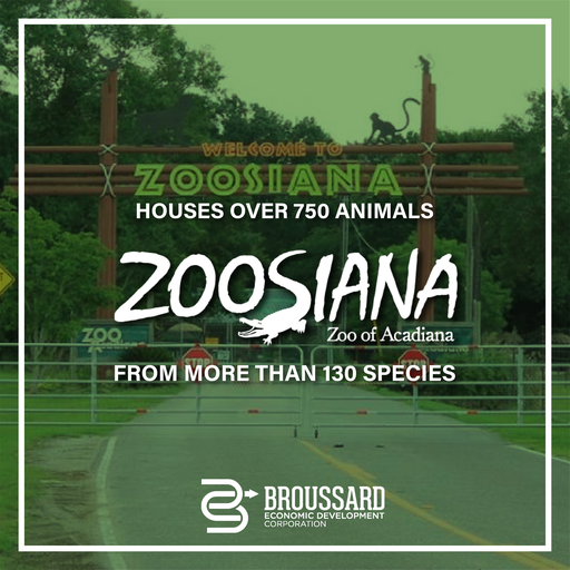 Entertainment and Leisure in Broussard Broussard Economic Development